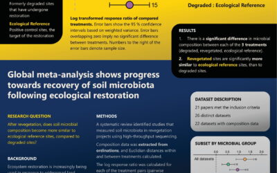 Global meta-analysis and systematic review of the effect of ecological restoration on the diversity and composition of soil microbial communities